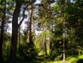 /album/okoli-habartova/a38154-1353475764767-1467600727-30832421-195617-n-jpg/