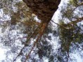 /album/okoli-habartova/a38154-1353475804768-1467600727-30832422-2577021-n-jpg/