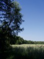 /album/okoli-habartova/a39712-1353479524861-1467600727-30832439-4142762-n-jpg/